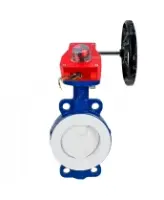 Затвор дисковый поворотный DN.ru WBV3434Pf-2W-Fb-R Ду250 Ру16 корпус - углеродистая сталь WCB, диск - углеродистая сталь WCB, футерованный PTFE, уплотнение - PTFE, с редуктором DN.ru HGBF RQN3-680Z с индикатором положения и датчиком обратной связи