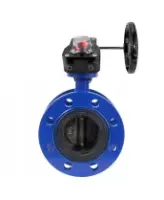 Затвор дисковый поворотный DN.ru WBV1331E-2W-F-H Ду200 Ру16 фланцевый, корпус - чугун GGG40, диск - нержавеющая сталь 304, уплотнение - EPDM, с редуктором DN.ru HGB RQN3-680Z