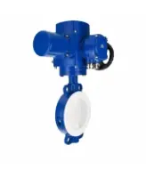Затвор дисковый поворотный DN.ru WBV3434Pf-2W-Fb-R Ду250 Ру16, корпус - углеродистая сталь WCB, диск - углеродистая сталь WCB, футерованный PTFE, уплотнение - PTFE, с электроприводом QT-N-030M-O2-220VAC-У1