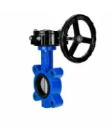 Затвор дисковый поворотный DN.ru WBV1631N-2W-Fb-H Ду150 Ру16 LUG межфланцевый, корпус - чугун QT450, диск - нержавеющая сталь AISI 304, уплотнение - NBR, с редуктором RDN RQN4-500Z-T30