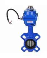 Затвор дисковый поворотный DN.ru WBV1432E-2W-Fb-H Ду40 Ру16, корпус - чугун GGG50, диск - нержавеющая сталь 316L, уплотнение - EPDM, с электроприводом DN.ru QT-N-003EM-O1-220VAC-У1 blue 220В