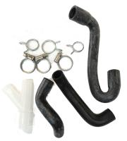 photo_2025-04-11_09-56-03