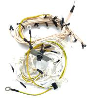 Изображение WhatsApp 2025-06-27 в 13.53.53_580abcd8