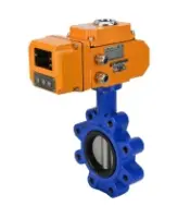 Затвор дисковый поворотный DN.ru WBV1631N-2W-Fb-H Ду80 Ру16 LUG корпус - чугун QT450, диск - нержавеющая сталь 304, уплотнение - NBR, межфланцевый, с электроприводом DN.ru QT-N-005EM-B1-220VAC-У1 DAR
