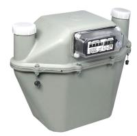 schyetchik_gaza_sgd_3t_g6_250_mm_levyy_s_termokorrektsiey