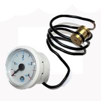 Манометр Fortuna F10-24 Pro  46360350