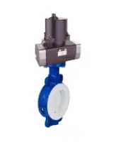 Затвор дисковый поворотный DN.ru WBV3434Pf-2W-Fb-R Ду250 Ру16 корпус - углеродистая сталь WCB, диск - углеродистая сталь WCB, футерованный PTFE, уплотнение - PTFE, с электроприводом четвертьоборотным DN.ru QTSA-N-030EM-O0-220VAC с пружинным возвратом