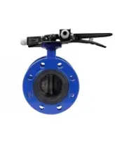 Затвор дисковый поворотный DN.ru WBV1331E-2W-F-H Ду80 Ру16 фланцевый, корпус - чугун GGG40, диск - нержавеющая сталь 304, уплотнение - EPDM, с рукояткой и двумя концевыми датчиками LS-103 250В