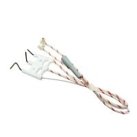 Электроды розжига и ионизации Egis Clas Cares X Alteas X Genus X Clas X (стар. 65104549) 65115802