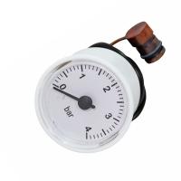 1316442378_manometr-ferroli-domiproject