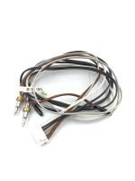 photo_2025-02-13_10-51-55