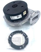 Изображение WhatsApp 2025-10-03 в 13.20.34_7119a177