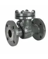 Клапан обратный 19с53нж DN.ru VCT2121-F Ду100 Ру40 фланцевый, поворотный, корпус - низкоуглеродистая сталь, затвор - низкоуглеродистая сталь