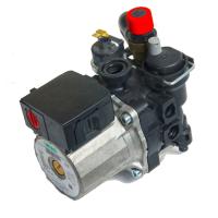 Насос Ferolli Domiproject Domitech Divatech Divatop Diva Domina Arena  39818450 39404220 39818451