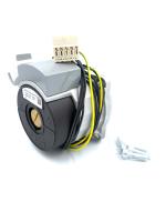 Изображение WhatsApp 2025-07-30 в 10.00.41_e1631df8