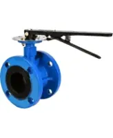 Затвор дисковый поворотный DN.ru WBV1313E-2W-F-H Ду100 Ру16 фланцевый, корпус - чугун GGG40, диск - чугун GGG40, уплотнение - EPDM, с рукояткой, с ISO-фланцем F07, квадрат штока 11х11