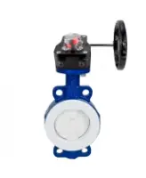 Затвор дисковый поворотный DN.ru WBV3434Pf-2W-Fb-H Ду80 Ру16 корпус - углеродистая сталь WCB, диск - углеродистая сталь WCB, футерованный PTFE, уплотнение - PTFE, с редуктором DN.ru HGB RQN1-180Z с индикатором положения