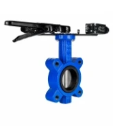 Затвор дисковый поворотный DN.ru WBV1631N-2W-Fb-H Ду150 Ру16 LUG межфланцевый, корпус - чугун QT450, диск - нержавеющая сталь AISI 304, уплотнение - NBR, с рукояткой и двумя концевыми датчиками LS-103 250В