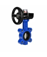 Затвор дисковый поворотный DN.ru WBV1616E-2W-Fb-H Ду125 Ру16 LUG межфланцевый, корпус - чугун QT450, диск - чугун QT450, уплотнение - EPDM, с редуктором HGB RQN1-180Z