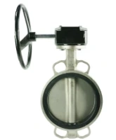 Затвор дисковый поворотный DN.ru WBV3232E-2W-Fb-H Ду150 Ру16, корпус - сталь 316L, диск - сталь 316L, уплотнение - EPDM,с редуктором DN.ru RDN RQN3-150Z-T24