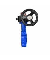 Затвор дисковый поворотный DN.ru WBV1616E-2W-Fb-H Ду125 Ру16 LUG межфланцевый, корпус - чугун QT450, диск - чугун QT450, уплотнение - EPDM, с редуктором HGB RQN1-180Z