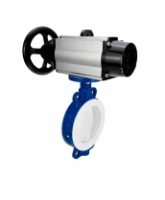 Затвор дисковый поворотный DN.ru WBV3434Pf-2W-Fb-R Ду200 Ру16, корпус - углеродистая сталь WCB, диск - углеродистая сталь WCB, футерованный PTFE, уплотнение - PTFE, с пневмоприводом PA-DA-105-1