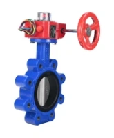 Затвор дисковый поворотный DN.ru WBV1631N-2W-Fb-H Ду150 Ру16 LUG межфланцевый, корпус - чугун QT450, диск - нержавеющая сталь AISI 304, уплотнение - NBR, с редуктором HGBF RQN2-320Z