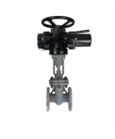 Задвижка клиновая 30с941нж DN.ru GVWR2121M-2W-F-ОСТ Ду50 Ру16 GAIR фланцевая, корпус - сталь 25Л, материал клина - сталь 25Л, уплотнение - металл, с ОСТ-фланцем, с электроприводом DN.ru MT-N-010M-O2-220VAC-У1 пятикулачковым