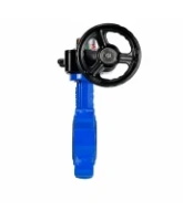 Затвор дисковый поворотный DN.ru WBV1631N-2W-Fb-H Ду150 Ру16 LUG межфланцевый, корпус - чугун QT450, диск - нержавеющая сталь AISI 304, уплотнение - NBR, с редуктором HGB RQN2-320Z
