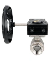 Кран шаровой DN.ru BV3232P(2pc)-FP-T-ISO-H 1 1/2″ Ду40 Ру63 полнопроходной двухходовой, нержавеющая сталь SS316, внутренняя резьба, уплотнение - PTFE, с редуктором DN.ru HAM RQN1-180Z-T40