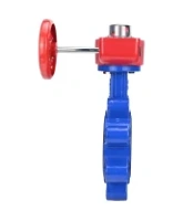 Затвор дисковый поворотный DN.ru WBV1631N-2W-Fb-H Ду150 Ру16 LUG межфланцевый, корпус - чугун QT450, диск - нержавеющая сталь AISI 304, уплотнение - NBR, с редуктором HGBF RQN2-320Z