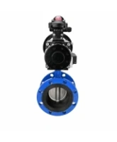 Затвор дисковый поворотный DN.ru WBV1331E-2W-F-H Ду50 Ру16 фланцевый, корпус - чугун GGG40, диск - нержавеющая сталь 304, уплотнение - EPDM, с пневмоприводом DN.ru PA-DA-105-1, 4M310-08 AC220V и APL-210N
