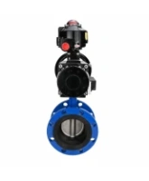 Затвор дисковый поворотный DN.ru WBV1331E-2W-F-H Ду50 Ру16 фланцевый, корпус - чугун GGG40, диск - нержавеющая сталь 304, уплотнение - EPDM, с пневмоприводом DN.ru PA-DA-105-1, 4M310-08 AC220V и APL-510N EX