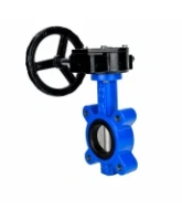 Затвор дисковый поворотный DN.ru WBV1631N-2W-Fb-H Ду150 Ру16 LUG межфланцевый, корпус - чугун QT450, диск - нержавеющая сталь AISI 304, уплотнение - NBR, с редуктором RDN RQN4-500Z-T30