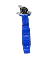 Затвор дисковый поворотный DN.ru WBV1616E-2W-Fb-H Ду100 Ру16 LUG межфланцевый, корпус - чугун QT450, диск - чугун QT450, уплотнение - EPDM, с рукояткой