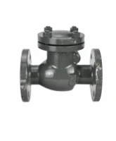 Клапан обратный 19с53нж DN.ru VCT2121-F Ду100 Ру40 фланцевый, поворотный, корпус - низкоуглеродистая сталь, затвор - низкоуглеродистая сталь