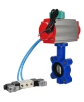 Затвор дисковый поворотный DN.ru WBV1631E-2W-Fb-H Ду65 Ру16 LUG межфланцевый, корпус - чугун QT450, диск - нержавеющая сталь AISI 304, EPDM, с пневмоприводом PA-SA-105, пневмораспределителем 4V320-08 AC220V и магнитным переключателем ALS200D