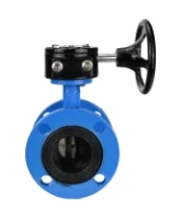 Затвор дисковый поворотный DN.ru WBV1313E-2W-F-H Ду100 Ру16 фланцевый, корпус - чугун GGG40, диск - чугун GGG40, уплотнение - EPDM, с редуктором DN.ru RDN RQN3-150Z-T24