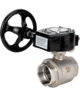 Кран шаровой DN.ru BV3232P(2pc)-FP-T-ISO-H Ду100 Ру40 полнопроходной двухходовой, нержавеющая сталь SS316, внутренняя резьба, уплотнение - PTFE, с редуктором RDN RQN5-500Z-T30