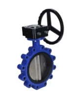 Затвор дисковый поворотный DN.ru WBV1616E-2W-Fb-R Ду200 Ру16 LUG межфланцевый, корпус - чугун QT450, диск - чугун QT450, уплотнение - EPDM, с редуктором