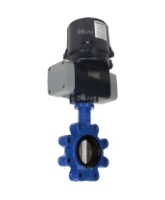 Затвор дисковый поворотный DN.ru WBV1631N-2W-Fb-H Ду150 Ру16 LUG межфланцевый, корпус - чугун QT450, диск - нержавеющая сталь AISI 304, уплотнение - NBR, с электроприводом четвертьоборотным DN.ru QTSA-N-020EM-O0-220VAC с пружинным возвратом