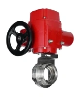 Затвор дисковый поворотный DN.ru WBV3131E-2W-T-H Ду50 Ру10 резьбовой, корпус - пищевая нержавеющая сталь 304, уплотнение - EPDM, с электроприводом QT-EX-005M-O2-220VAC-У1 с моментной муфтой и штурвалом
