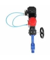 Затвор дисковый поворотный DN.ru WBV1132N-2W-Fb-H Ду125 Ру16, чугун GG25, нержавеющая сталь 316L, NBR, с пневмоприводом PA-DA-105, с ручным дублером MON3-700-T38-ISO и с электропневматическим поворотным позиционером YT-1000RSN с обратной связью