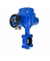 Затвор дисковый поворотный DN.ru WBV1616E-2W-Fb-H Ду100 Ру16 LUG межфланцевый, корпус - чугун QT450, диск - чугун QT450, уплотнение - EPDM, с электроприводом QT-N-010M-O2-220VAC-У1 с моментной муфтой и штурвалом