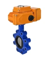 Затвор дисковый поворотный DN.ru WBV1631N-2W-Fb-H Ду80 Ру16 LUG корпус - чугун QT450, диск - нержавеющая сталь 304, уплотнение - NBR, межфланцевый, с электроприводом DN.ru QT-N-005EM-B1-220VAC-У1 DAR