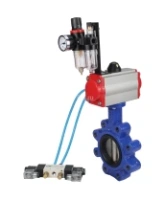 Затвор дисковый поворотный DN.ru WBV1616E-2W-Fb-H Ду100 Ру16 LUG корпус - чугун QT450, диск - чугун QT450, уплотнение - EPDM, с пневмоприводом DN.ru PA-DA-083, пневмораспределителем 4V320-10 AC220V и БПВ AFC2000