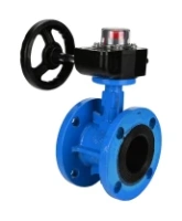 Затвор дисковый поворотный DN.ru WBV1313E-2W-F-H Ду200 Ру16 фланцевый, корпус - чугун GGG40, диск - чугун GGG40, уплотнение - EPDM, с редуктором DN.ru HGB RQN3-680Z