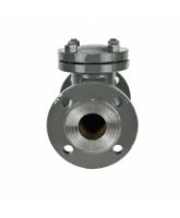 Клапан обратный 19с53нж DN.ru VCT2121-F Ду100 Ру40 фланцевый, поворотный, корпус - низкоуглеродистая сталь, затвор - низкоуглеродистая сталь