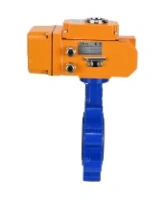 Затвор дисковый поворотный DN.ru WBV1631N-2W-Fb-H Ду80 Ру16 LUG корпус - чугун QT450, диск - нержавеющая сталь 304, уплотнение - NBR, межфланцевый, с электроприводом DN.ru QT-N-005EM-B1-220VAC-У1 DAR