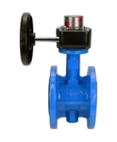 Затвор дисковый поворотный DN.ru WBV1313E-2W-F-H Ду200 Ру16 фланцевый, корпус - чугун GGG40, диск - чугун GGG40, уплотнение - EPDM, с редуктором DN.ru HGB RQN3-680Z